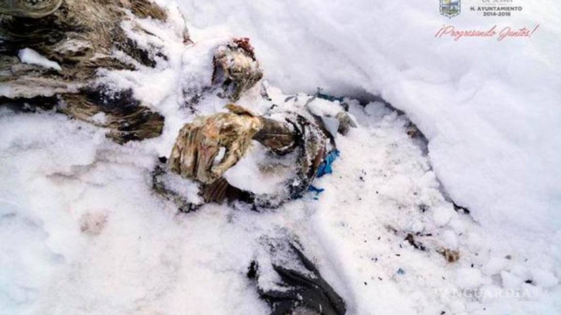 Momias del Pico de Orizaba podrían ser alpinistas desaparecidos hace 55 años
