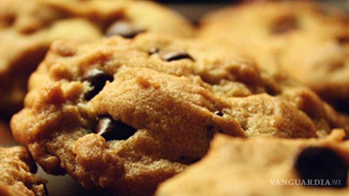 Producen galletas con chapulines para niños desnutridos