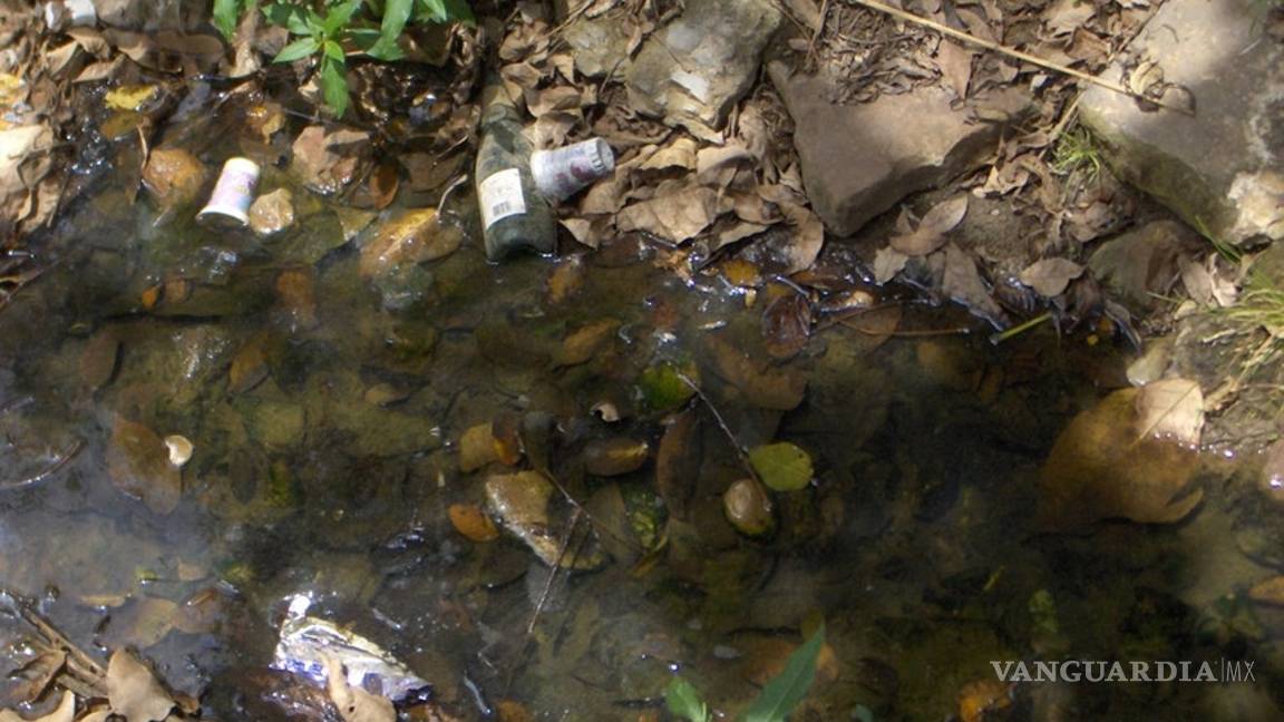 Dos mil millones de personas usan agua contaminada