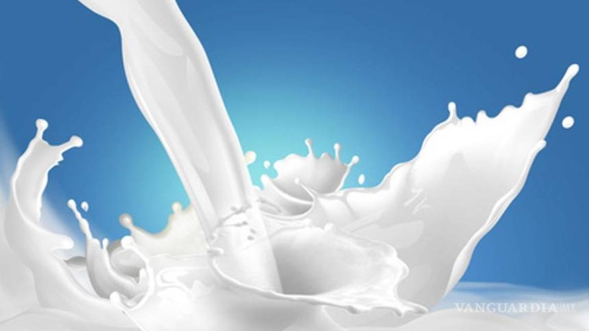 Tomar leche ayuda a reducir enfermedades crónicas