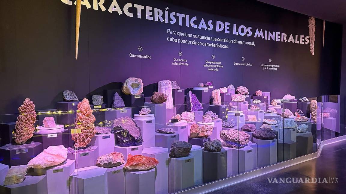 $!Todos tendrán la oportunidad de observar y apreciar a través de un microscopio electrónico diferentes muestras, como fósiles y hasta minerales.