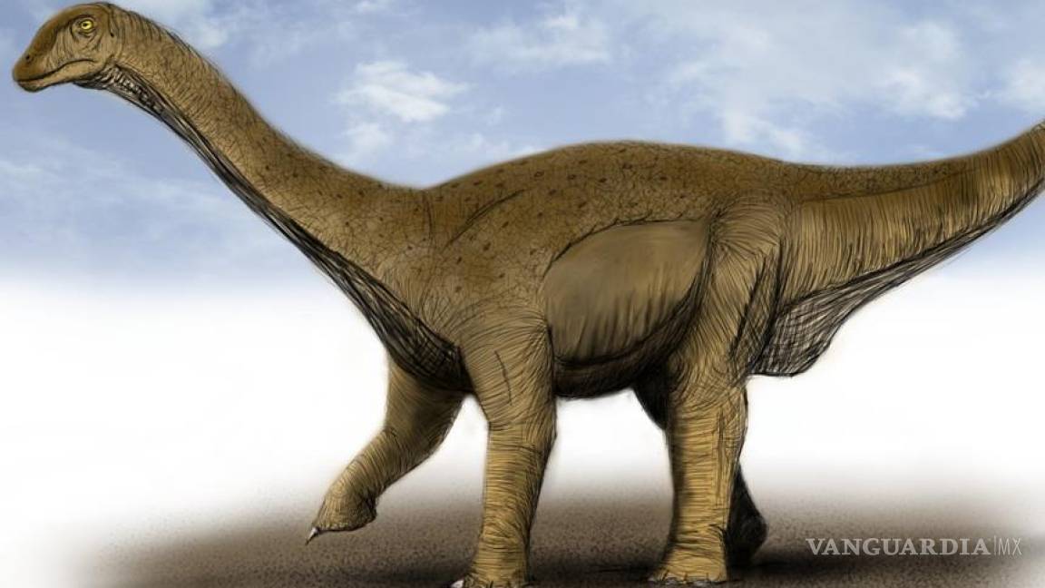 Descubren los restos de uno de los dinosaurios más grandes en la Tierra