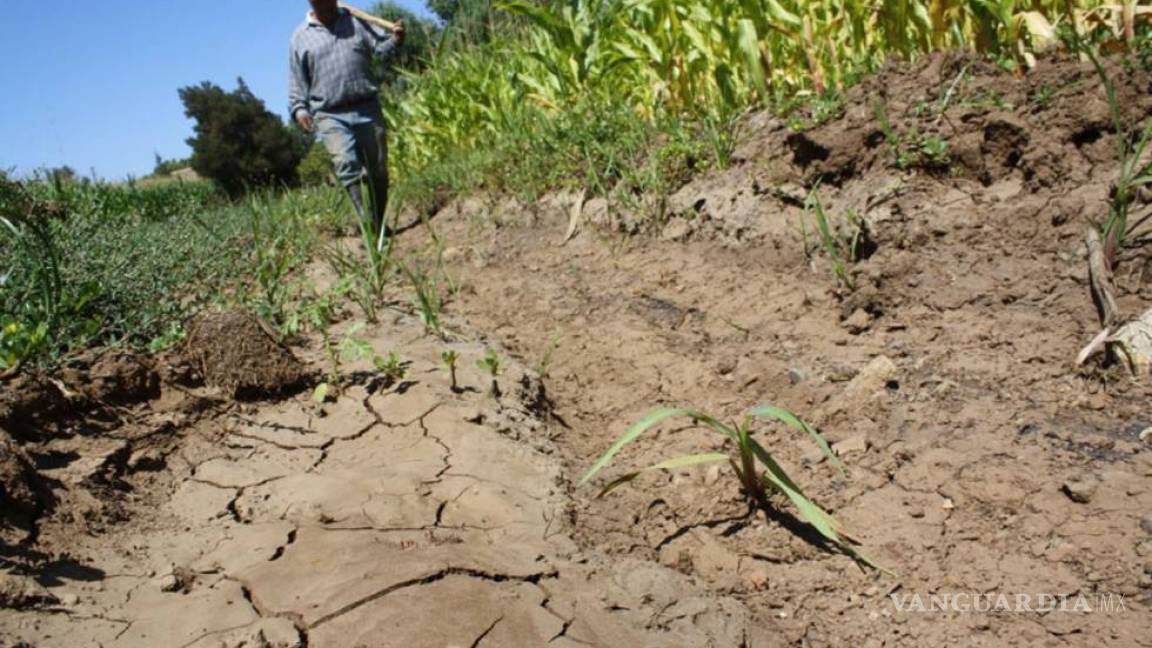 Alerta por sequía en el norte de Coahuila
