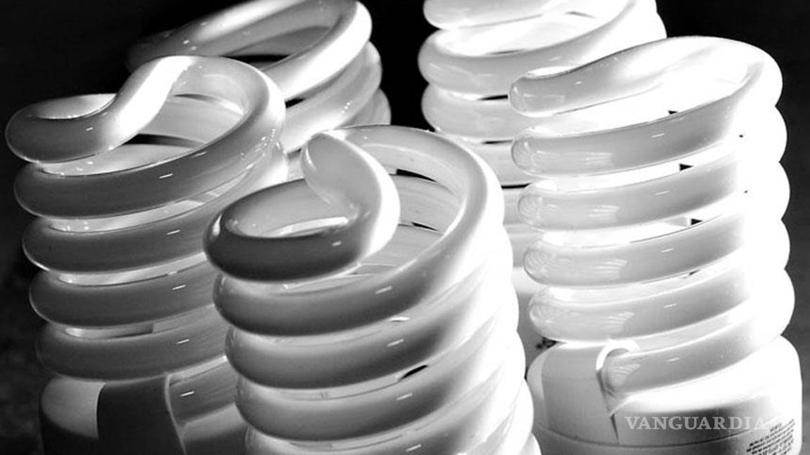 $!10 consejos para combatir el cambio climático desde casa