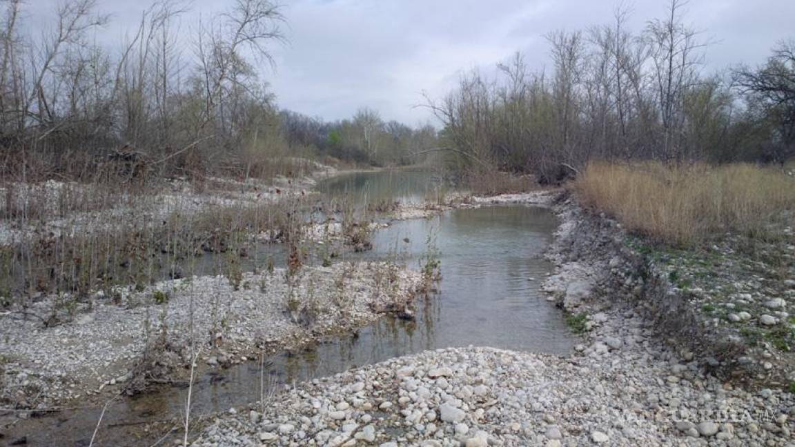 Coahuila pierde su biodiversidad y recursos naturales, alertan