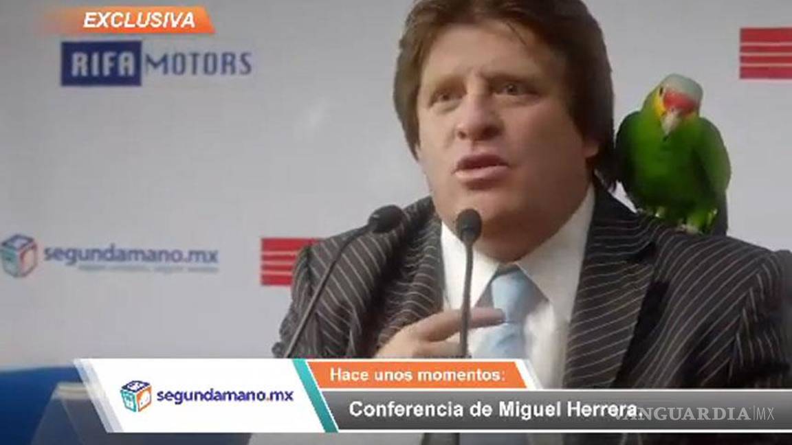 Profepa pide cancelar anuncio de 'El Piojo' con Loro Cachetes Amarillos