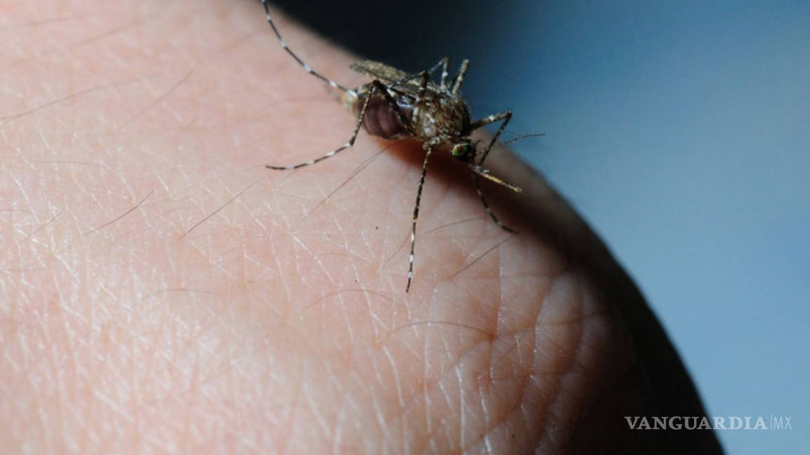 Brasil y EU trabajarán juntos en una vacuna contra el Zika
