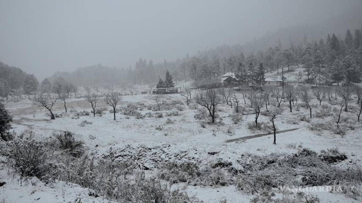 Prevén caída de nieve al noroeste del país por frente frío 11