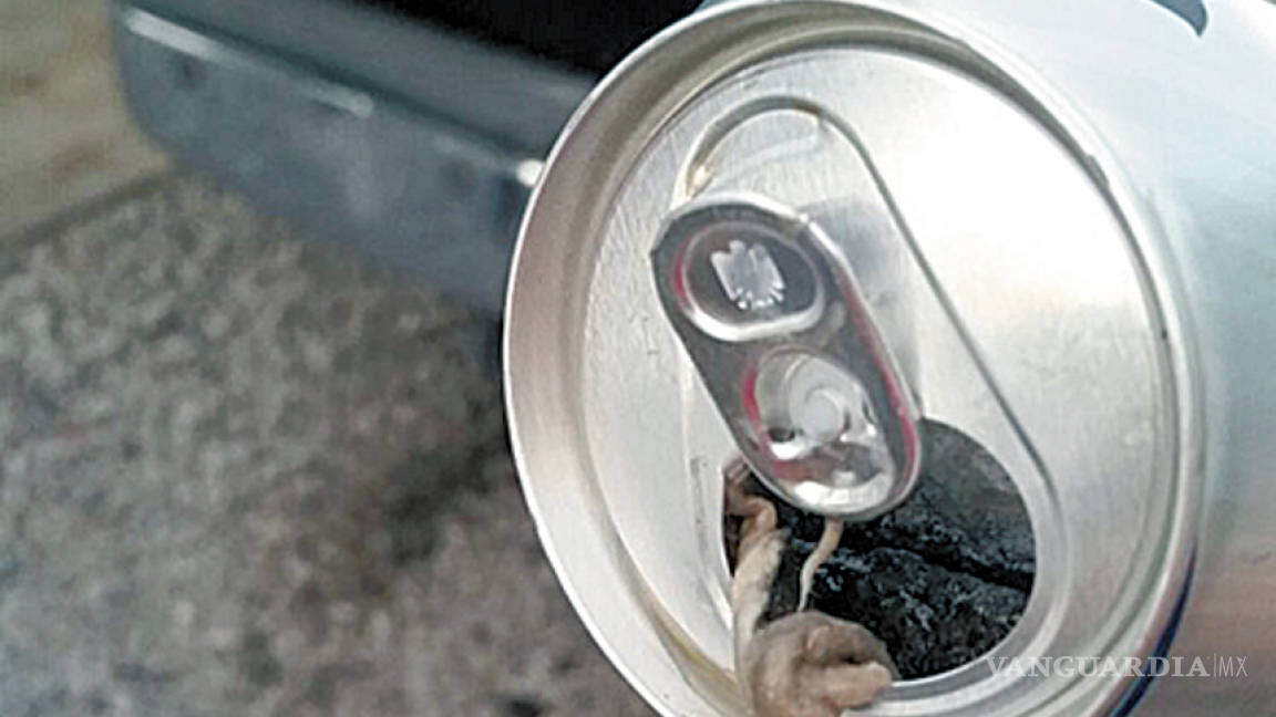 $!Se toma una 'chela' con sabor a rata y limón