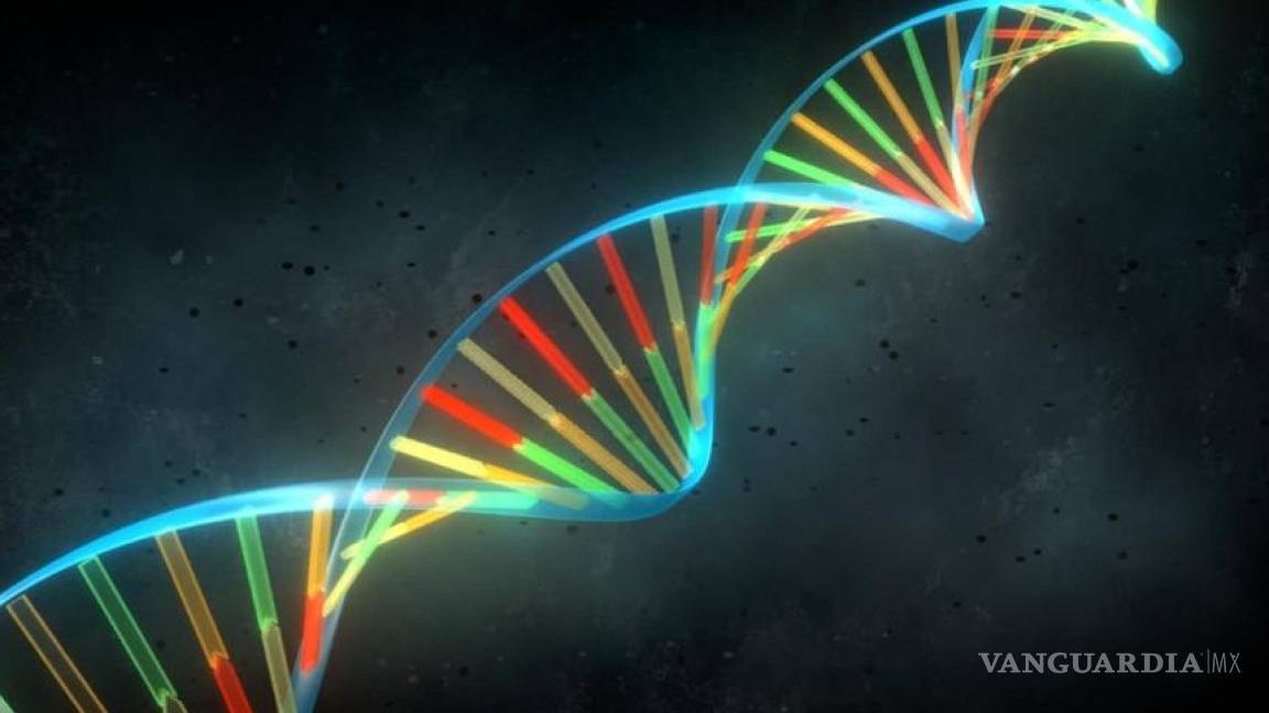 El Supremo de EU prohíbe que el ADN humano sea patentado