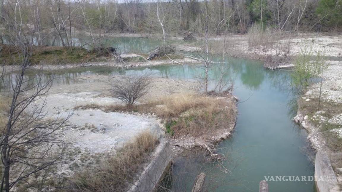 Pierden ríos de Coahuila su biodiversidad; urge intervención de autoridad