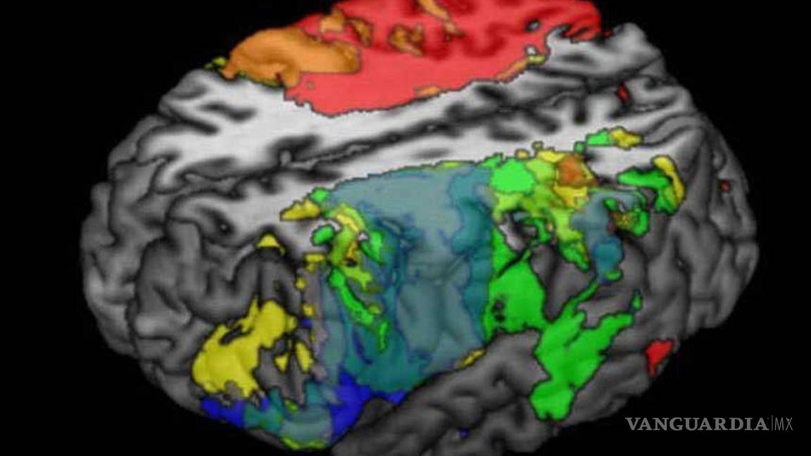 Escáner cerebral revela si criminales volverán a delinquir