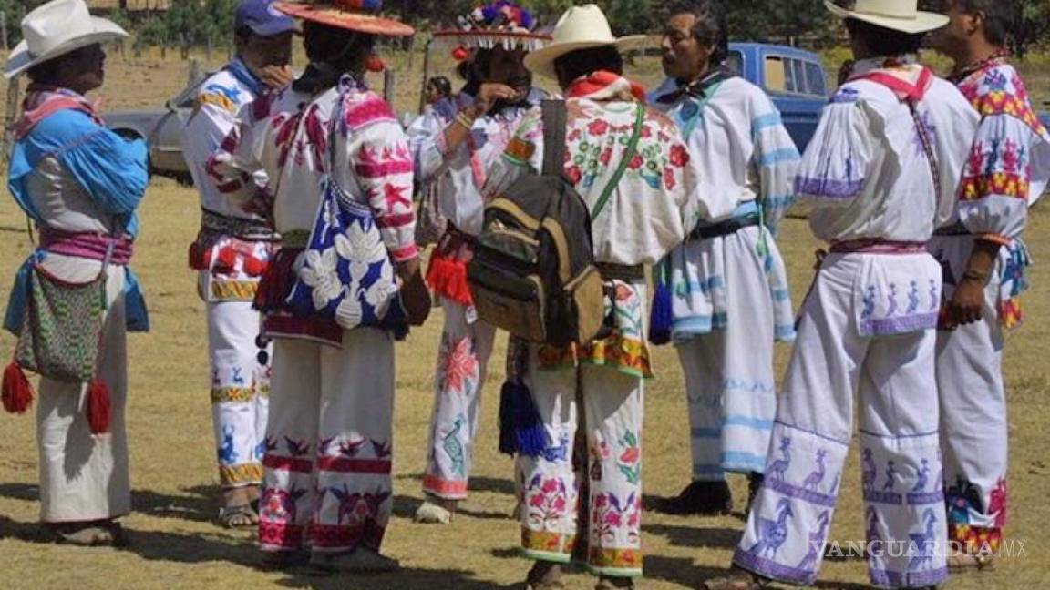 Investigadores logran fortalecer la lengua Huichol