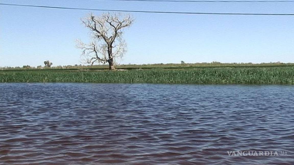 EU utiliza agua del Valle de Mexicali desde hace 5 años, denuncian