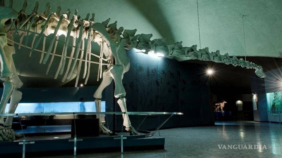 Astronomía se apodera del Museo de Historia Natural