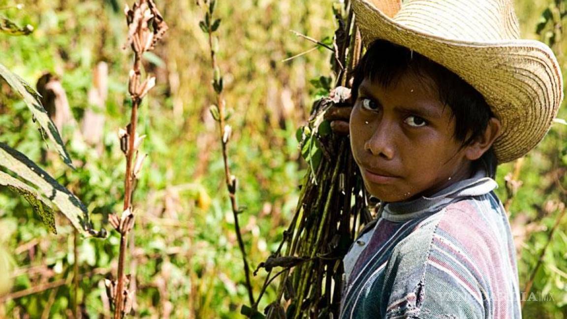 Pobres y con hambre, los campesinos que alimentan a México