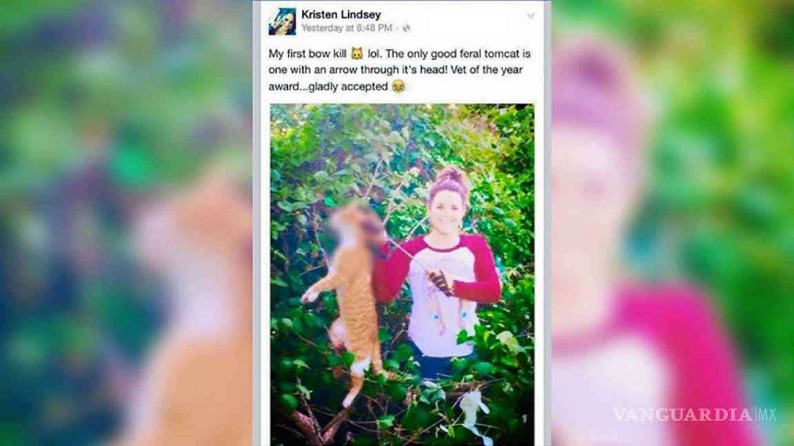 Mata a un gato de un flechazo, lo presume en Facebook y pierde su trabajo