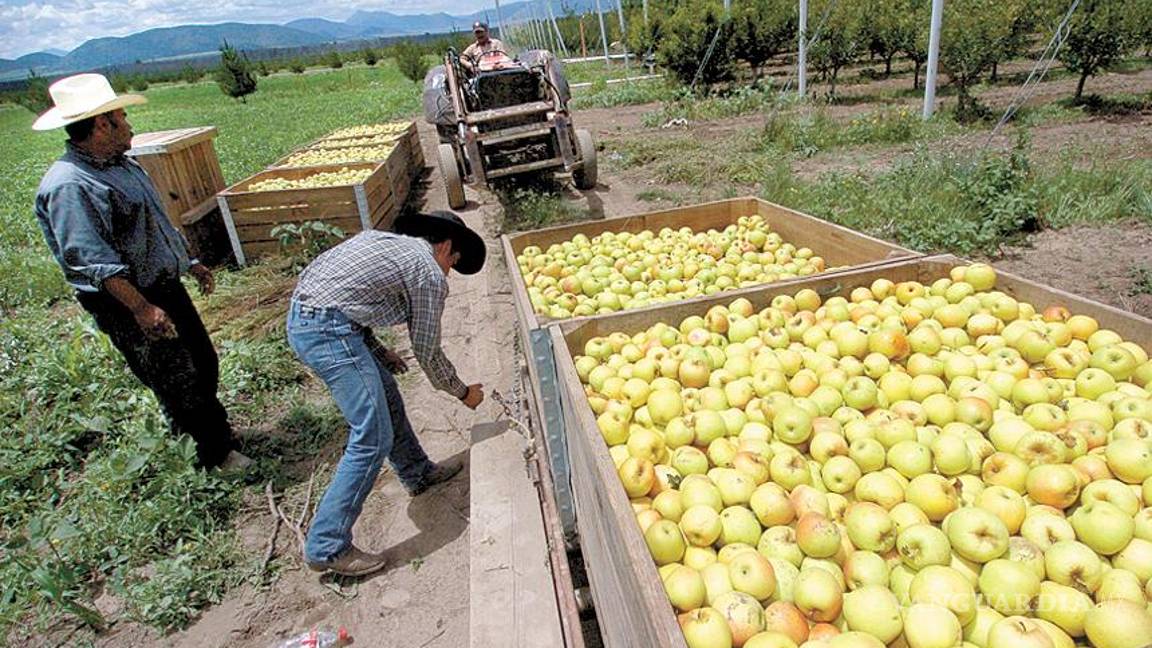 $!10 consejos para combatir el cambio climático desde casa