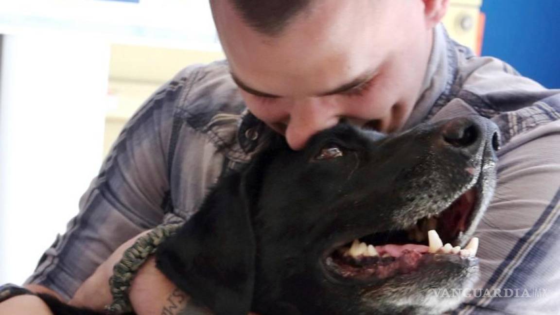 El emotivo reencuentro entre un marine y un perro detector de bombas