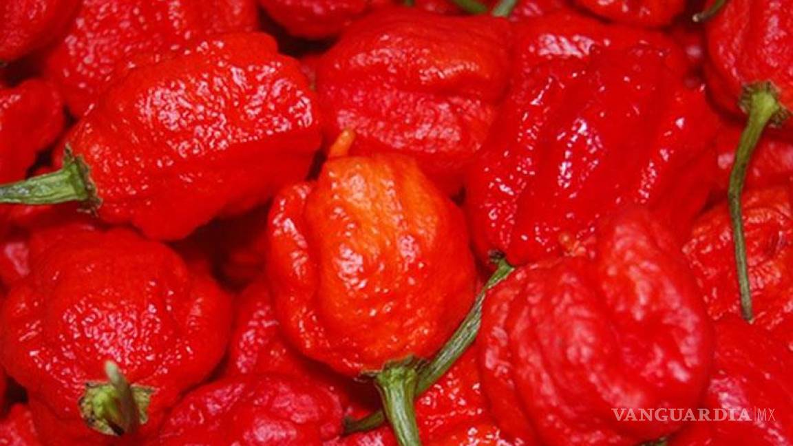 El chile más picante del mundo no es mexicano, es estadounidense