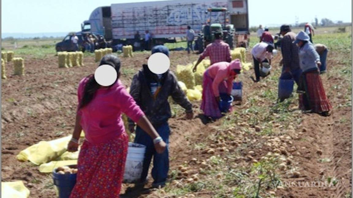 $!FAO alerta de extinción