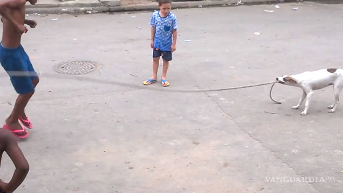 Perro juega a saltar la cuerda en una favela de Brasil (VIDEO)