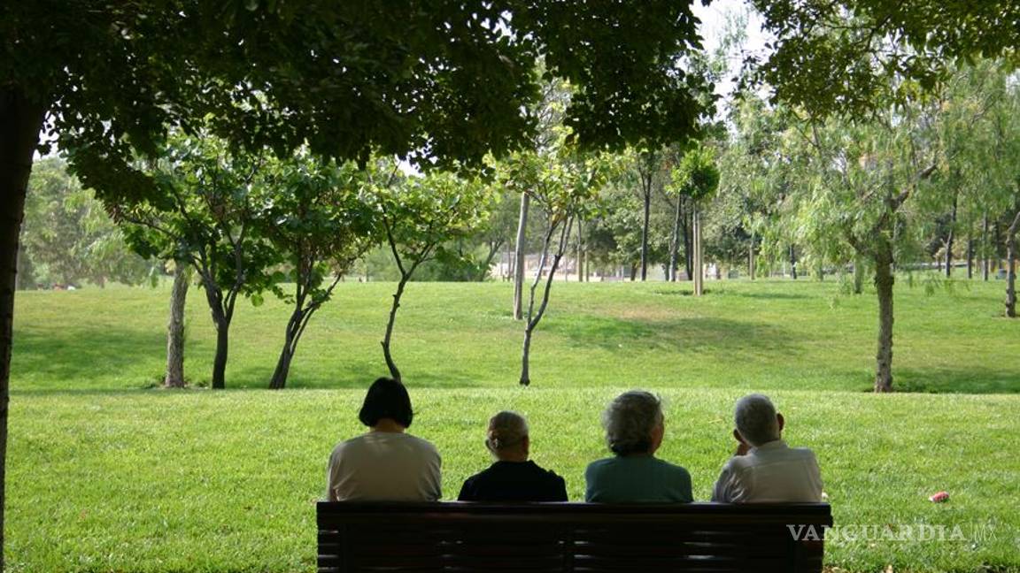 Cantidad de árboles por persona a nivel mundial