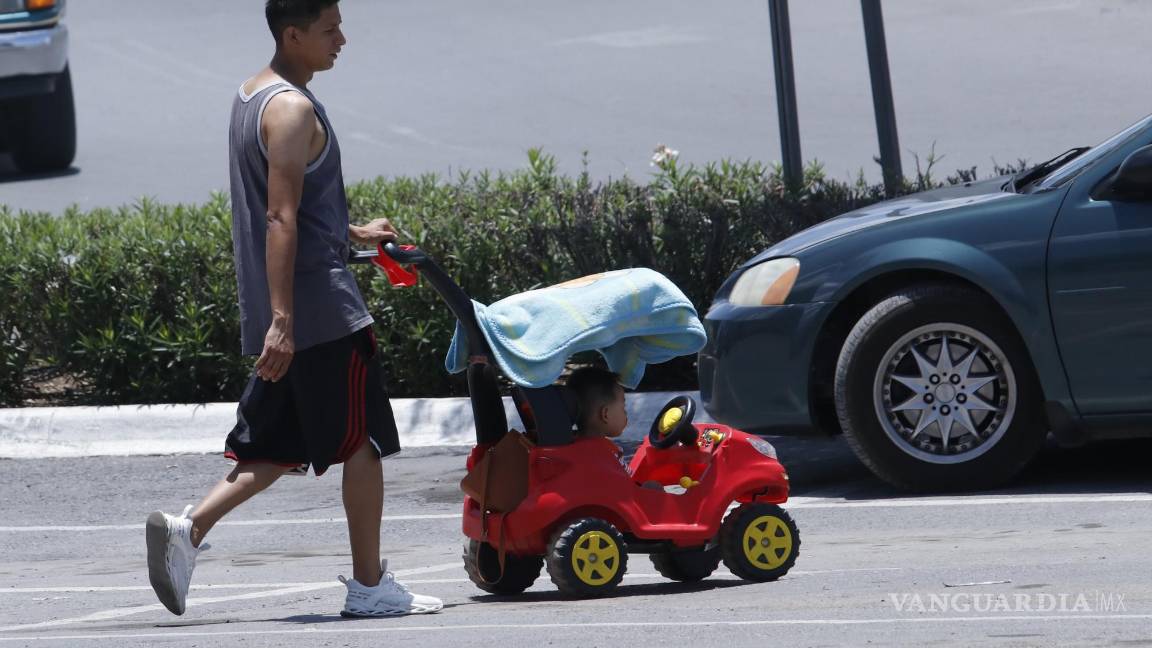 $!La propuesta de los especialistas es promover la educación en materia de cambio climático para los menores.