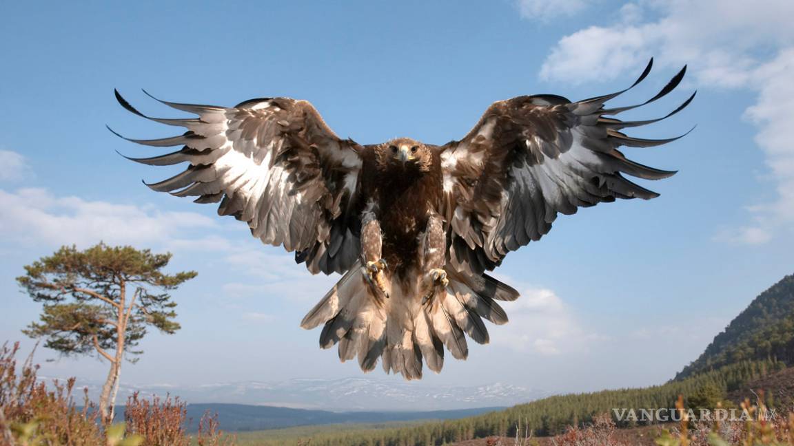 $!¿Sabías que?... 30 datos curiosos que posiblemente desconozcas