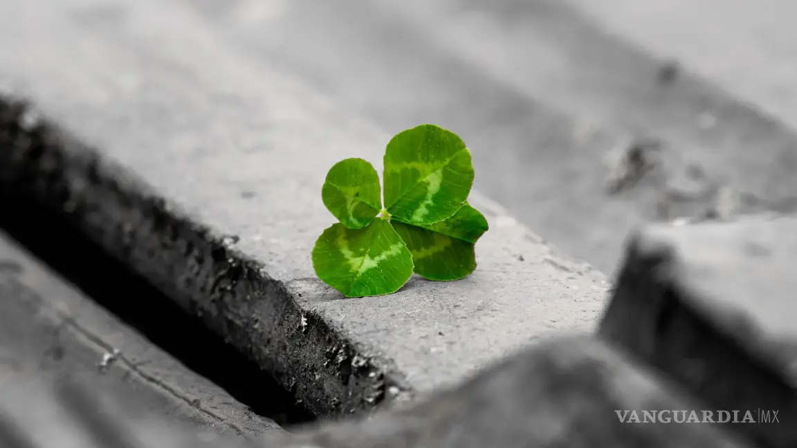 $!El 2026 se perfila como un año de expansión y prosperidad para los signos que sepan aprovechar la energía astral y tomar decisiones estratégicas.