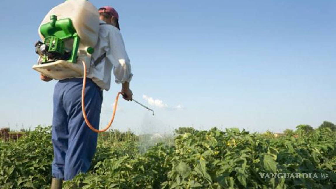 Encuentran pesticidas en las muestras de orina de 146 niños en Jalisco