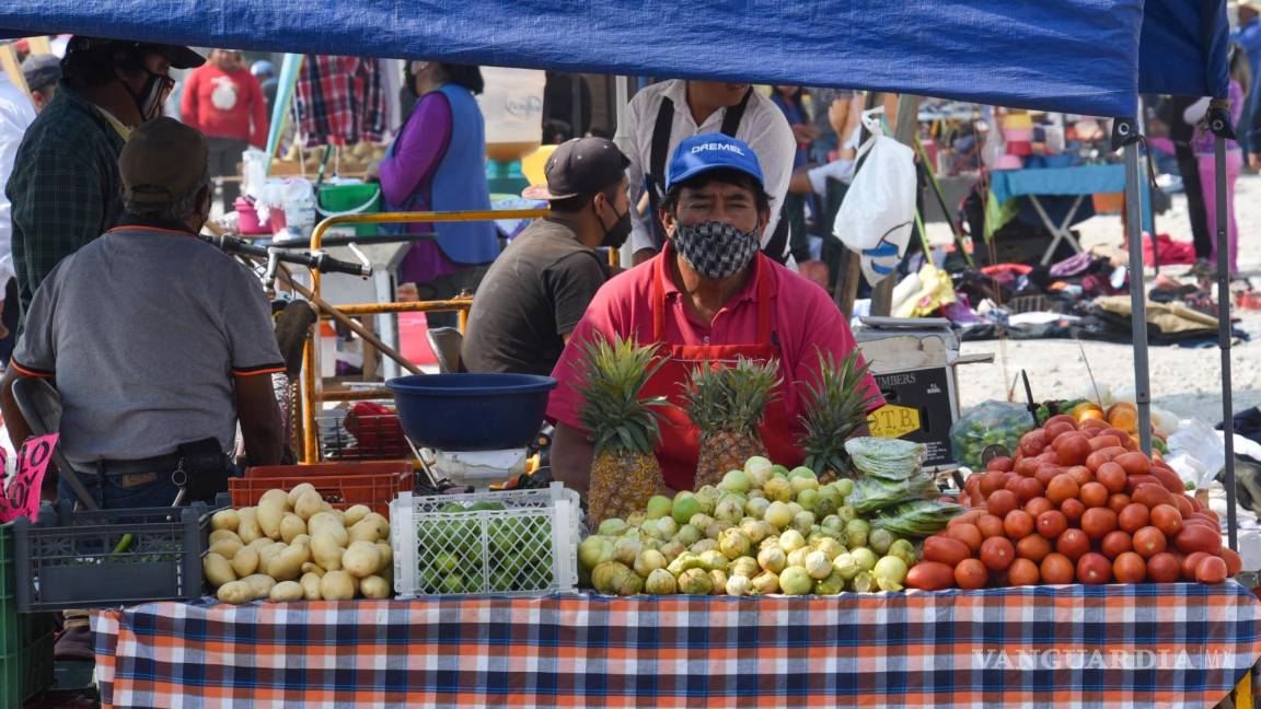 Descubre el encanto de los mercaditos de las colonias de Saltillo; estos son los mejores, según nuestros lectores