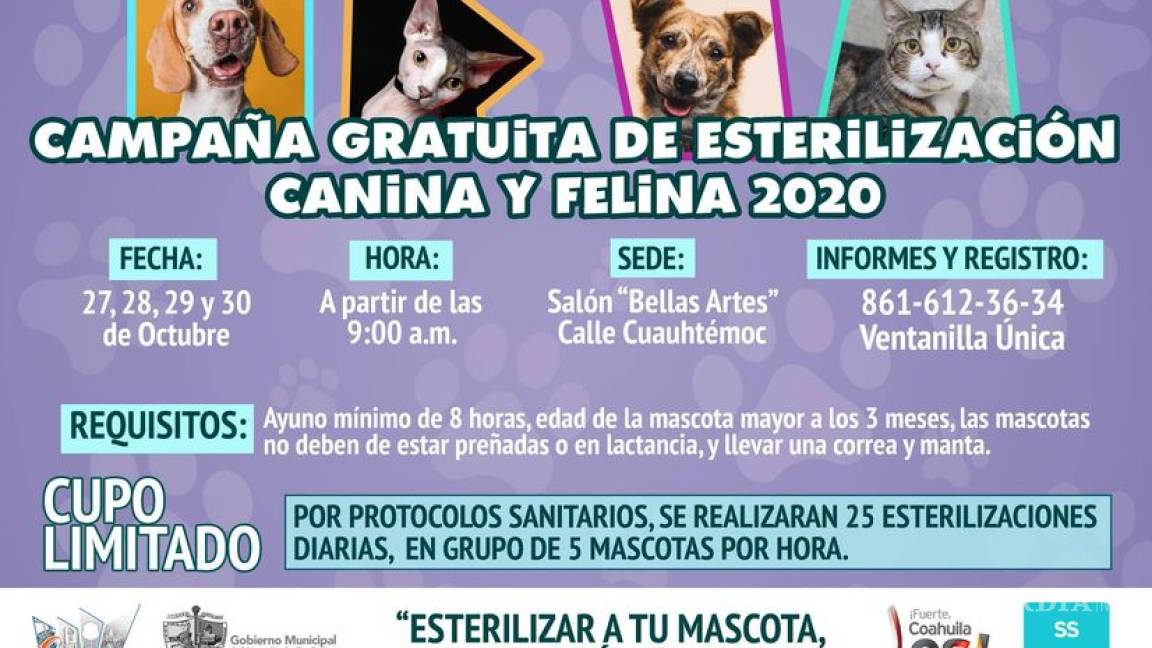 Continúa campaña de esterilización canina y felina en Sabinas