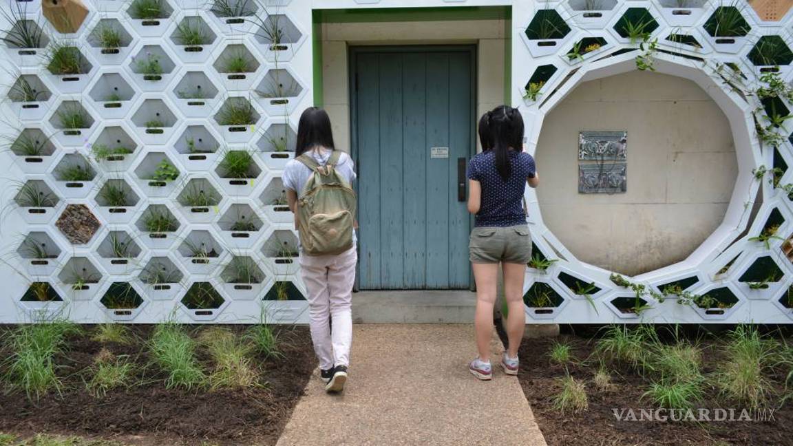 $!Pon a tu casa una piel verde