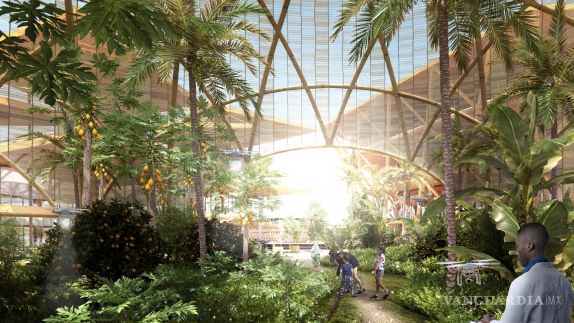 $!Esta es Oceanix City, la ciudad para 10 mil habitantes que está ¡sobre el agua!