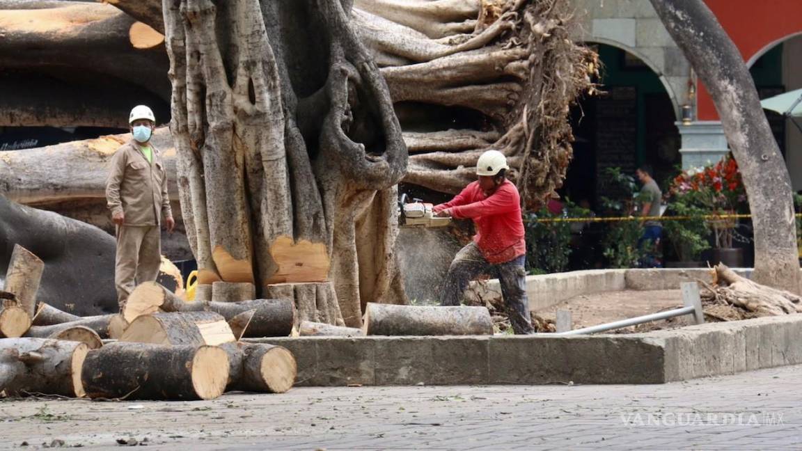 Deja tormenta sin agua a 8 mil viviendas en Oaxaca
