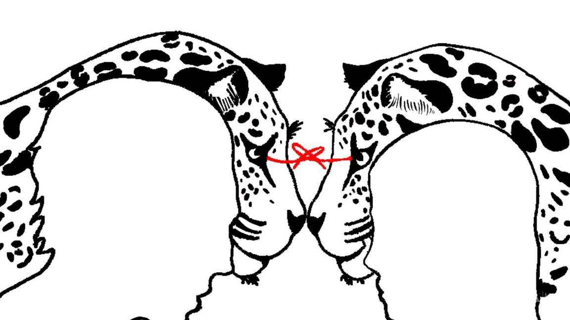 $!El latido del tecuán