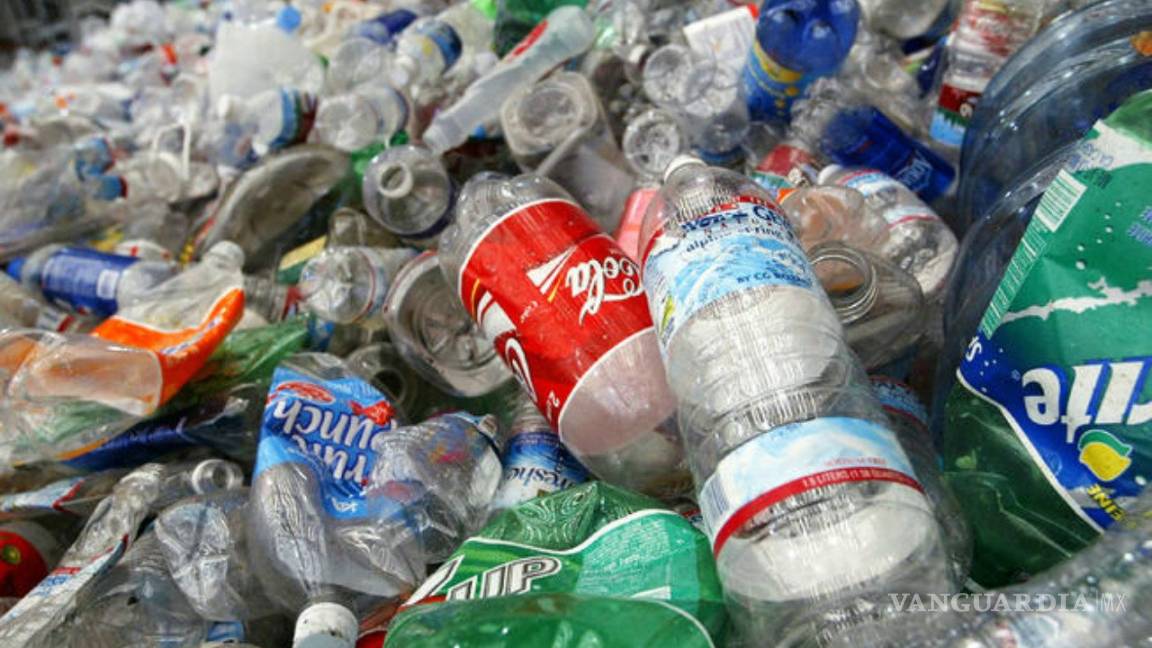“Reciclar es un mito, es un discurso de la industria”: especialista de Greenpeace