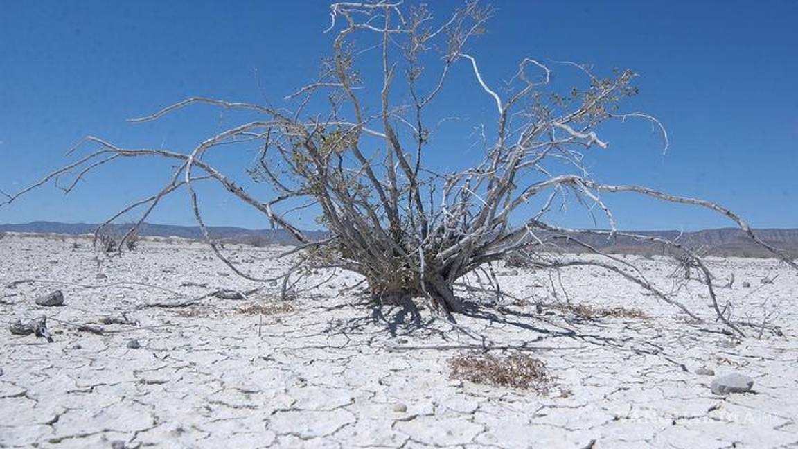 $!Al primer semestre del año, la entidad tuvo sequía en 37 de 38 municipios.