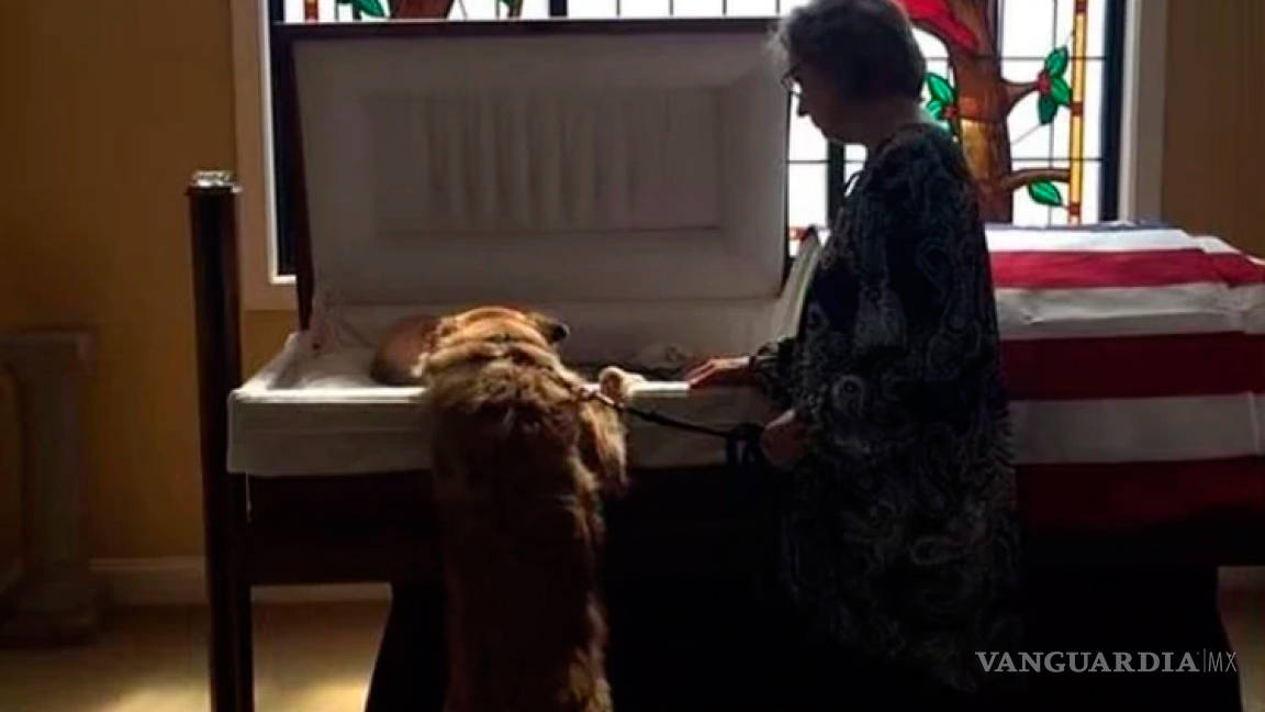 La emotiva despedida de un perro a su dueño, al lado de su ataúd