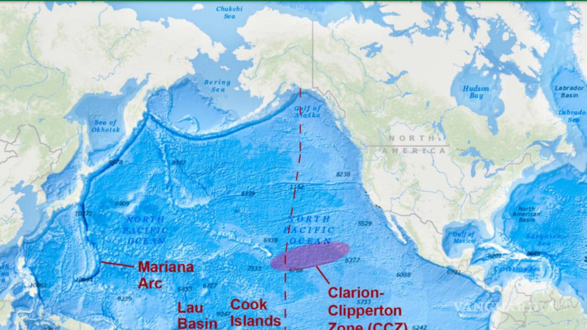 ¿Sabías que la mayor zona minera submarina del mundo que se ubica en el Pacífico amenaza a 5,578 especies?