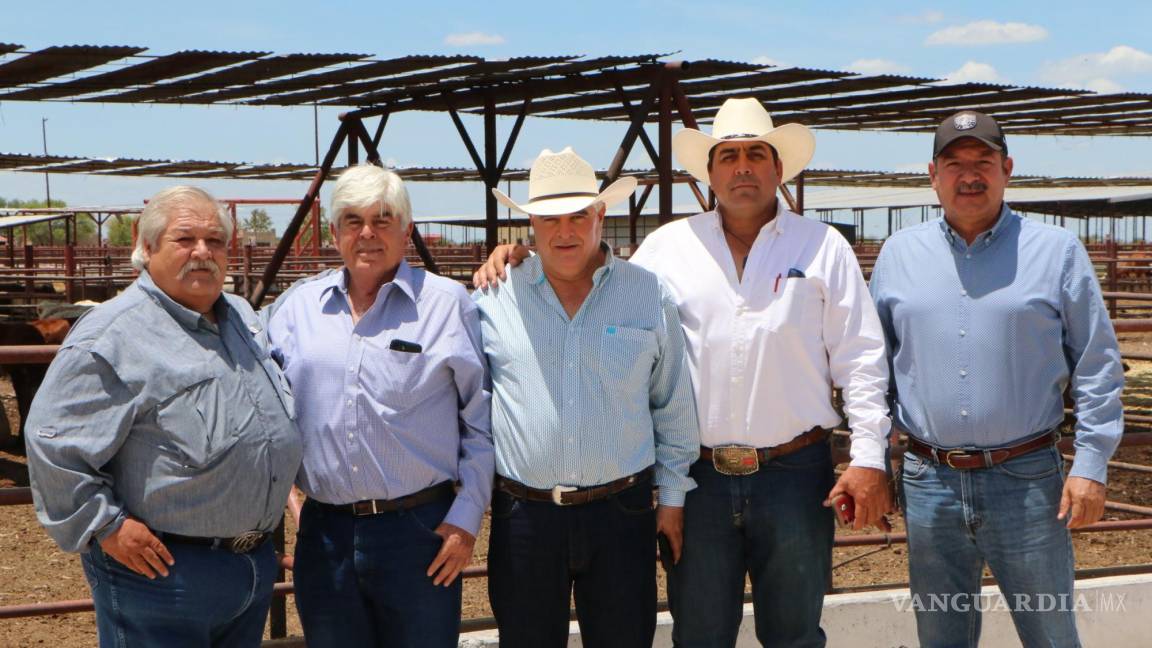 Será Coahuila la primera entidad ‘confiable’ para exportación de ganado hacia EU