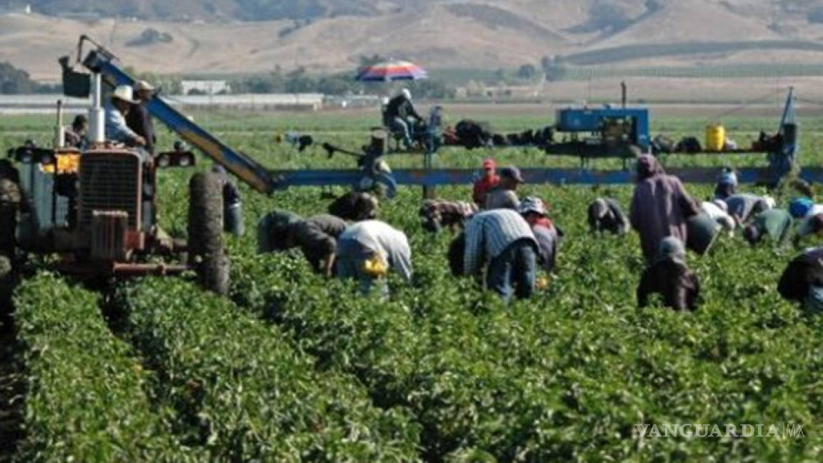 Agro mexicano hila 11 años de alzas exportadoras y logra récord
