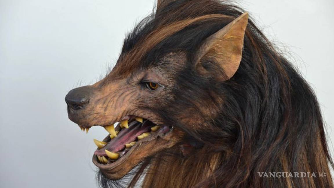 'Ni madres que fui yo', dice Guillermo del Toro sobre la nueva 'mascota' de Lobos BUAP