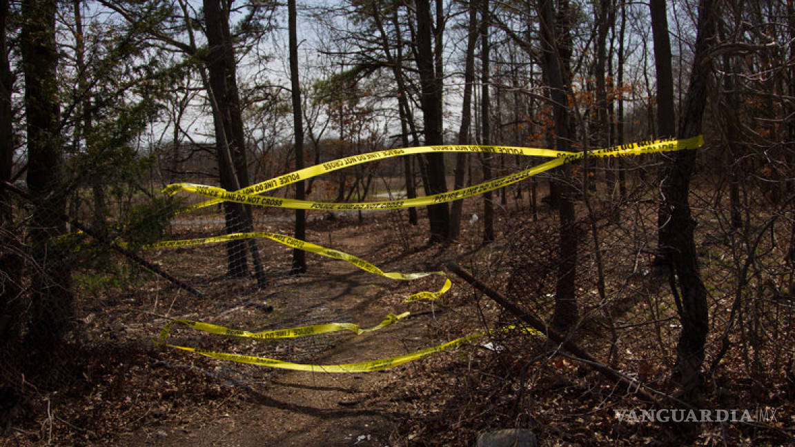 Encuentran 4 cadáveres en un parque de Nueva York