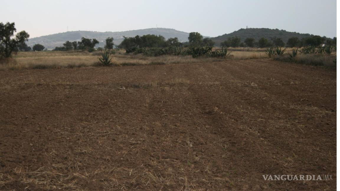 Sufrirá campo mexicano otro año de sequía prolongada