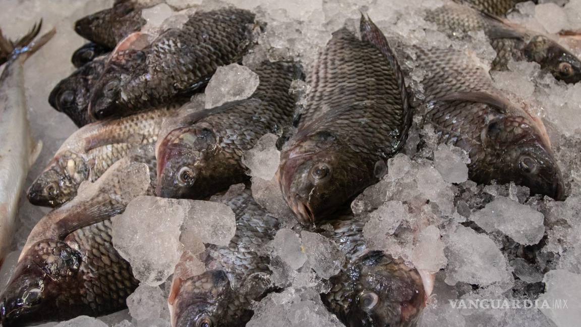 Recomienda Profeco: ¿cuáles son los pescados y mariscos más baratos para comprar en Cuaresma?
