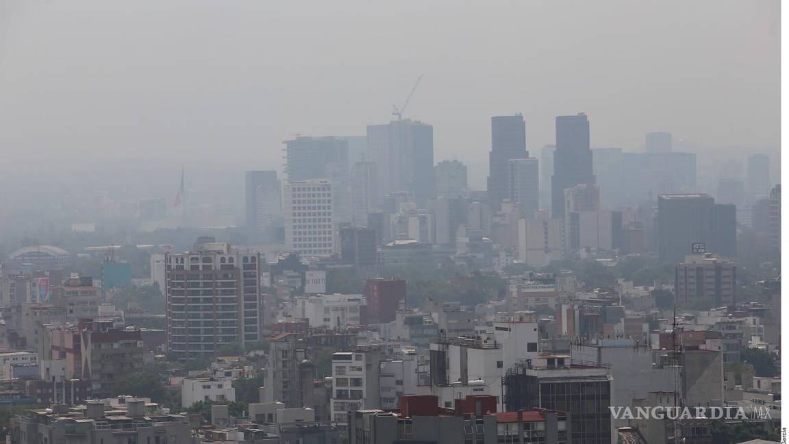 Incendios forestales influyen en la contaminación por ozono del Valle de México
