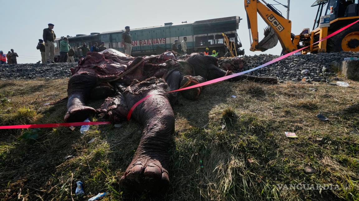 $!El cadáver de un elefante asiático salvaje es retirado de las vías del tren después de que un tren a toda velocidad atropellara a una manada de elefantes salvajes.
