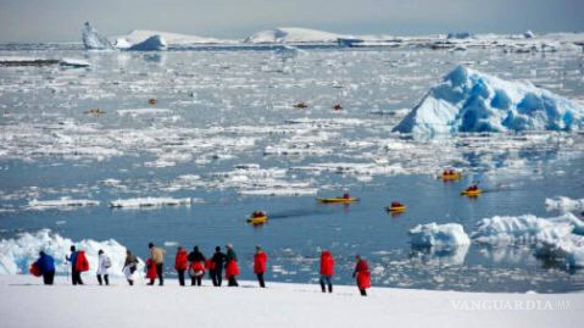 Urge Europa a crear la mayor área protegida en la Antártida